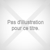 Des dieux celtes aux dieux romains vignette